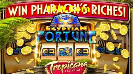 VIP Rewards System